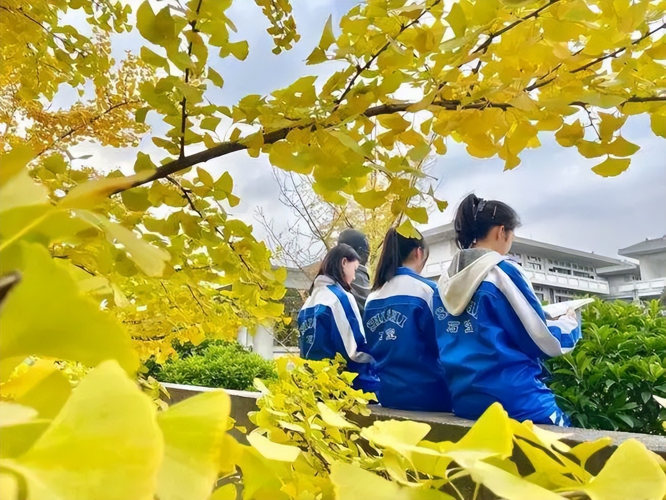 外地生如何报考成都四七九,成都四七九初中是划片就读吗