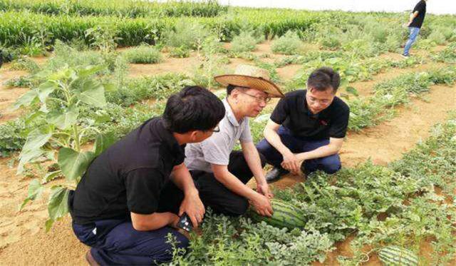 中国神奇胶水让沙漠变绿洲,中国科学家发明胶水沙子变土壤