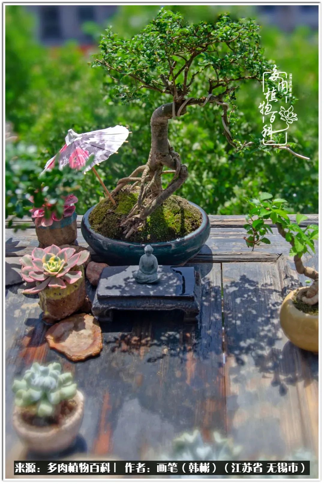 月满西楼别有一番滋味在心头,绿肥红瘦