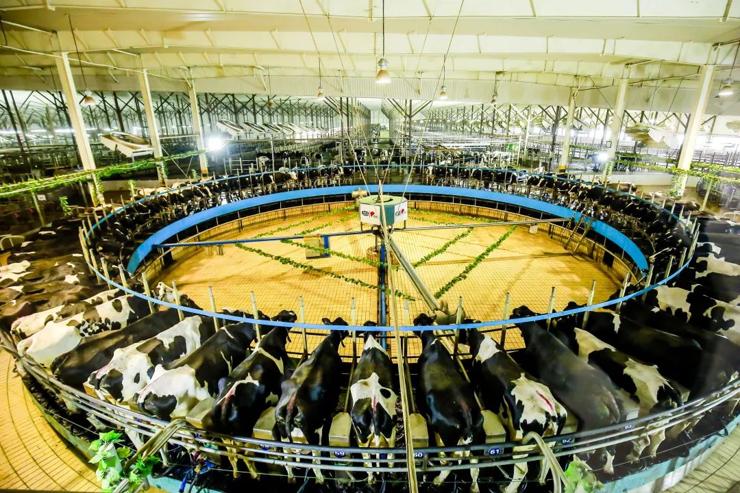 新国标的奶粉上市了吗,什么上市的奶粉是新国标的