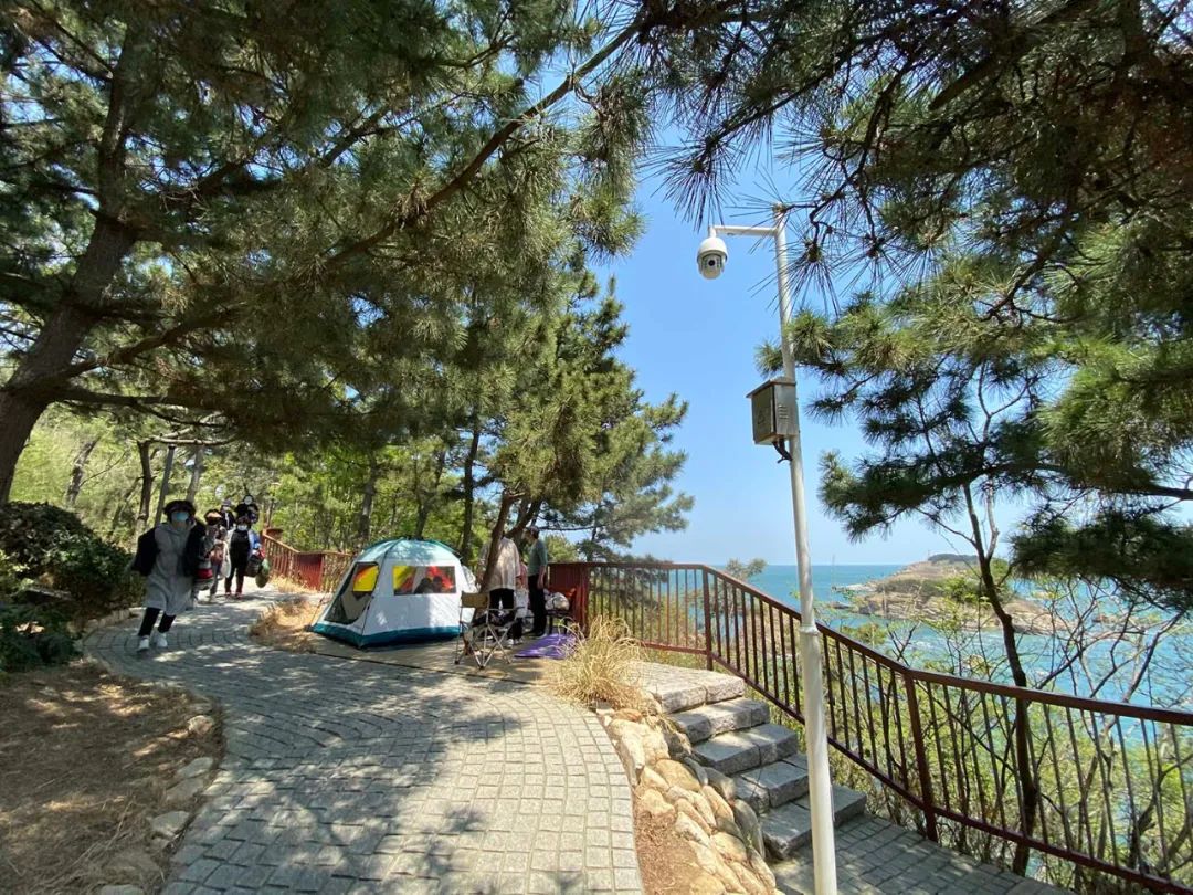 春天里的第一场露营安排,春天的第一次露营开始了