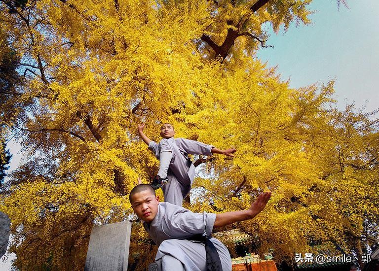 郑州周边游玩推荐景点一日游自驾,郑州附近一日游最佳景点旅游攻略