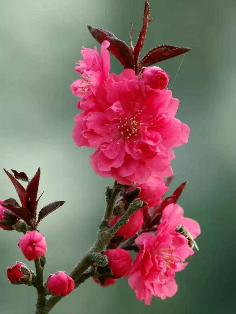 2023高考考前押题密卷五省联考,2023高考精准备考原创模拟卷三