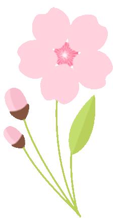 山西大学2024研究生复试时间,山西大学2024研究生复试通知