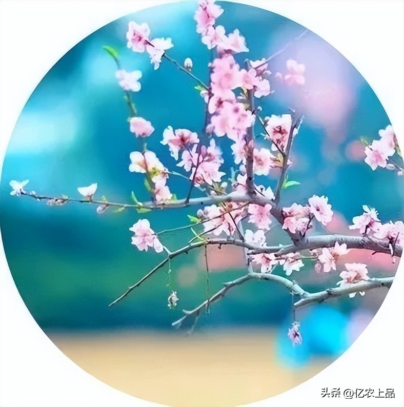 24节气立春从几号开始,24节气立春的意思和含义