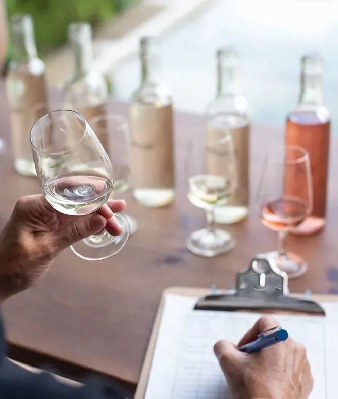 中国市场上的西班牙红酒,中国葡萄酒市场潜力巨大的原因