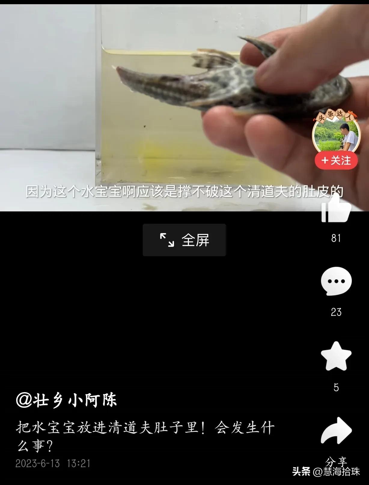 为什么有些人喜欢杀动物,为什么有人会虐猫或虐狗