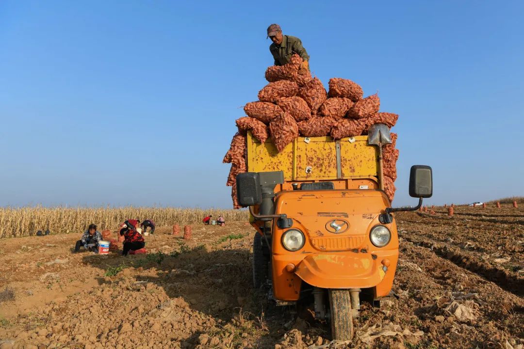 迎接党的20大美术作品,喜迎二十大乡村摄影展