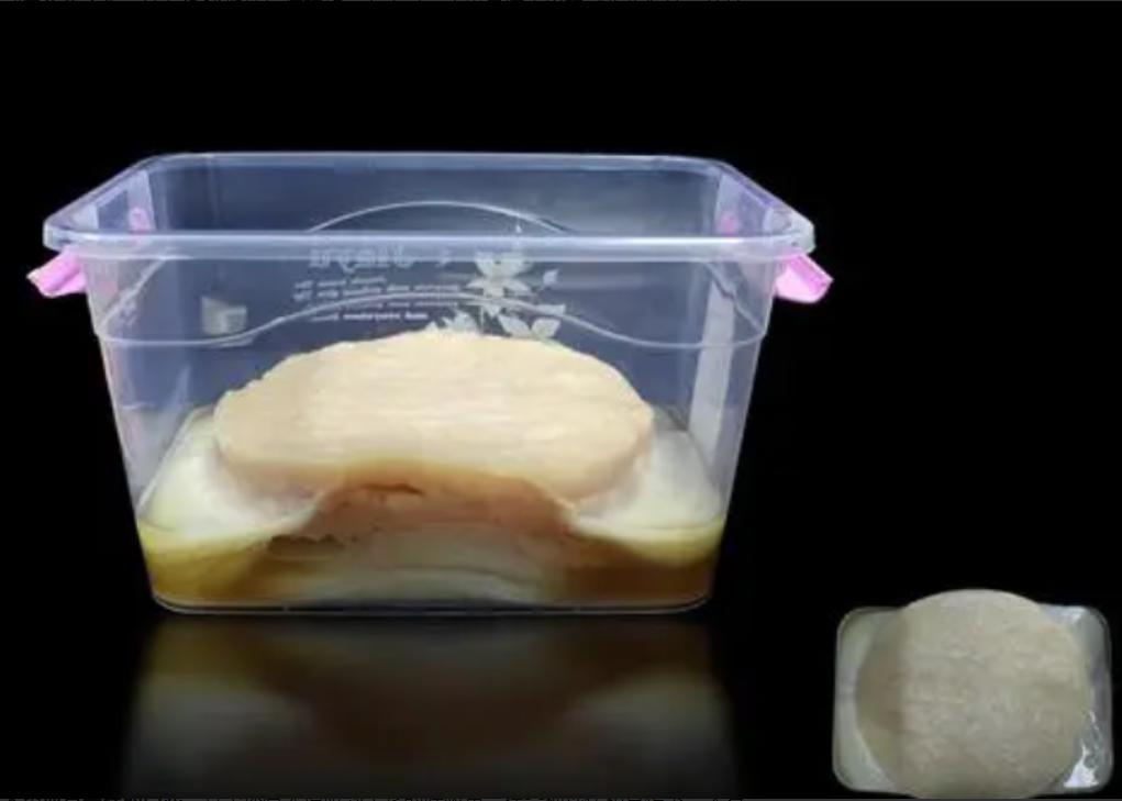 太岁中科院研究,太岁之谜神秘东西