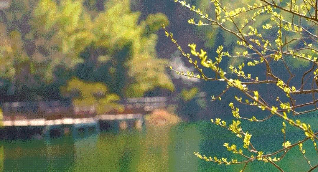 康保县五一哪里好玩,五一康县旅游景点大全