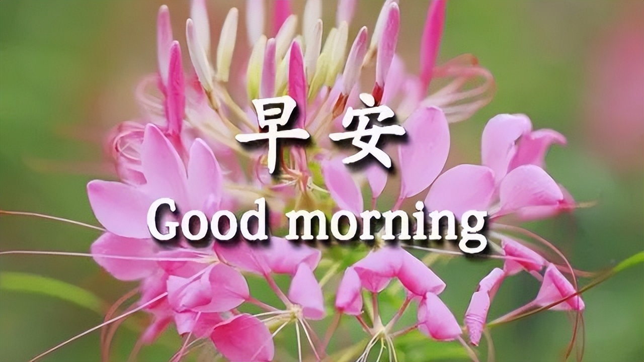 早上好天天问候暖人心,知心人早上好温馨问候语