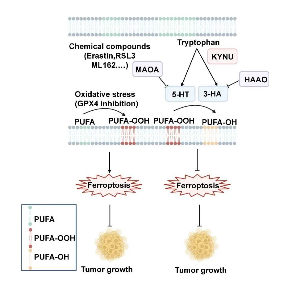 山东大学学术研究部,山东大学的学术成就