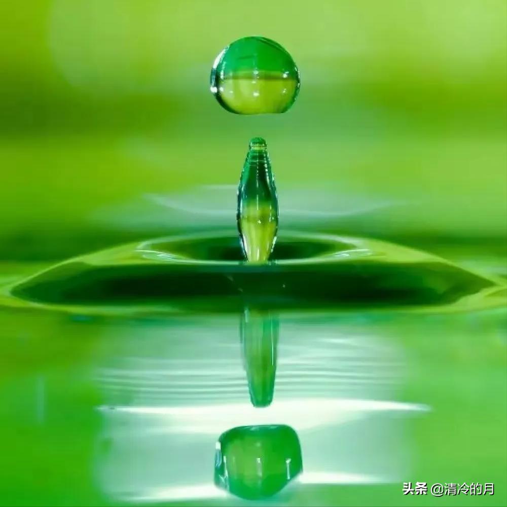 人生感悟兄弟姐妹情,人生感悟兄弟情