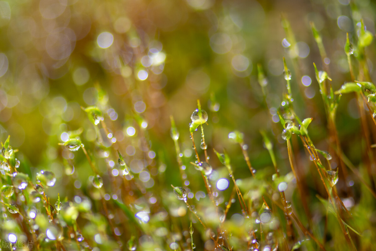 和春天干杯文案,和春天约会短句子