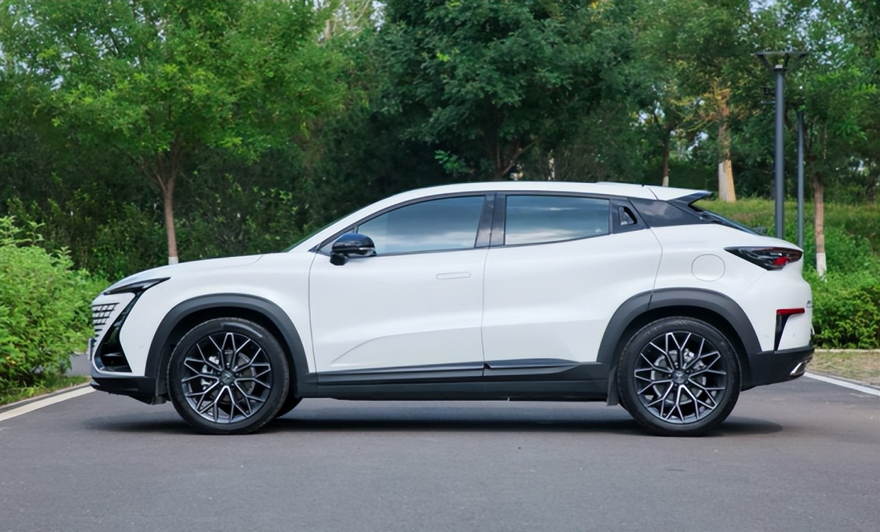 大魔王vs霸王,大魔王与小霸王