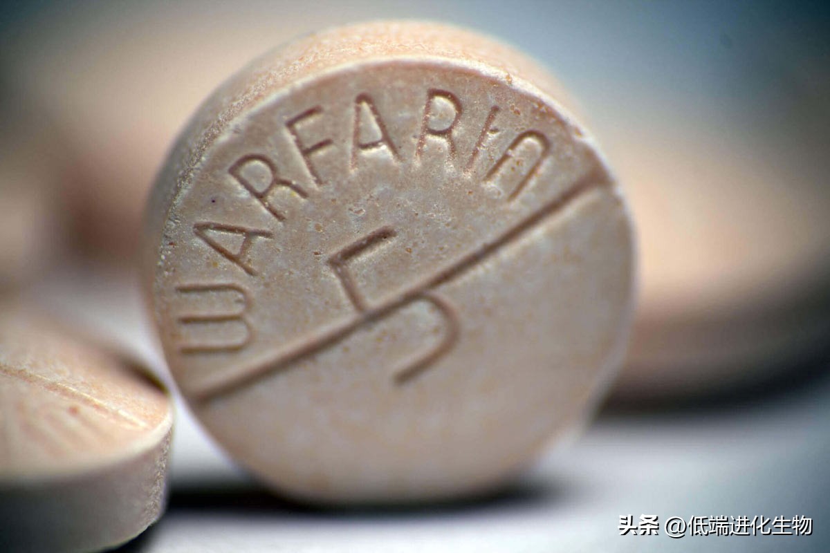 ACS：辉瑞新冠特效药Paxlovid其实是为2003年的非典研发的