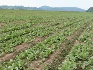 分享农村十个赚钱行业人人可做,农村致富4大赚钱点