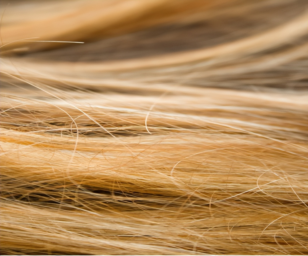 为什么头发浓密眉毛却很稀少,为什么头发是直的身上都是卷毛