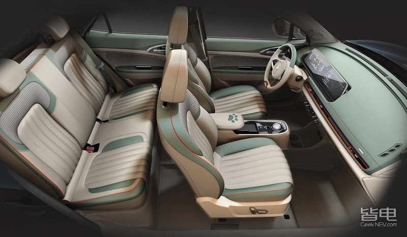 一只美貌与智慧并重的猫咪,一只靠自己找到今生铲屎官的橘猫