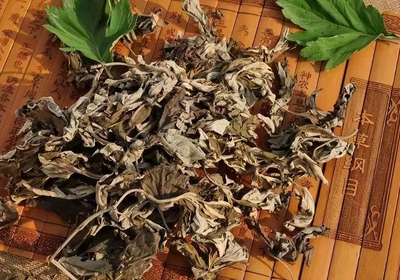 艾叶泡脚，坚持一个月后，身体会发生什么变化？值得尝试