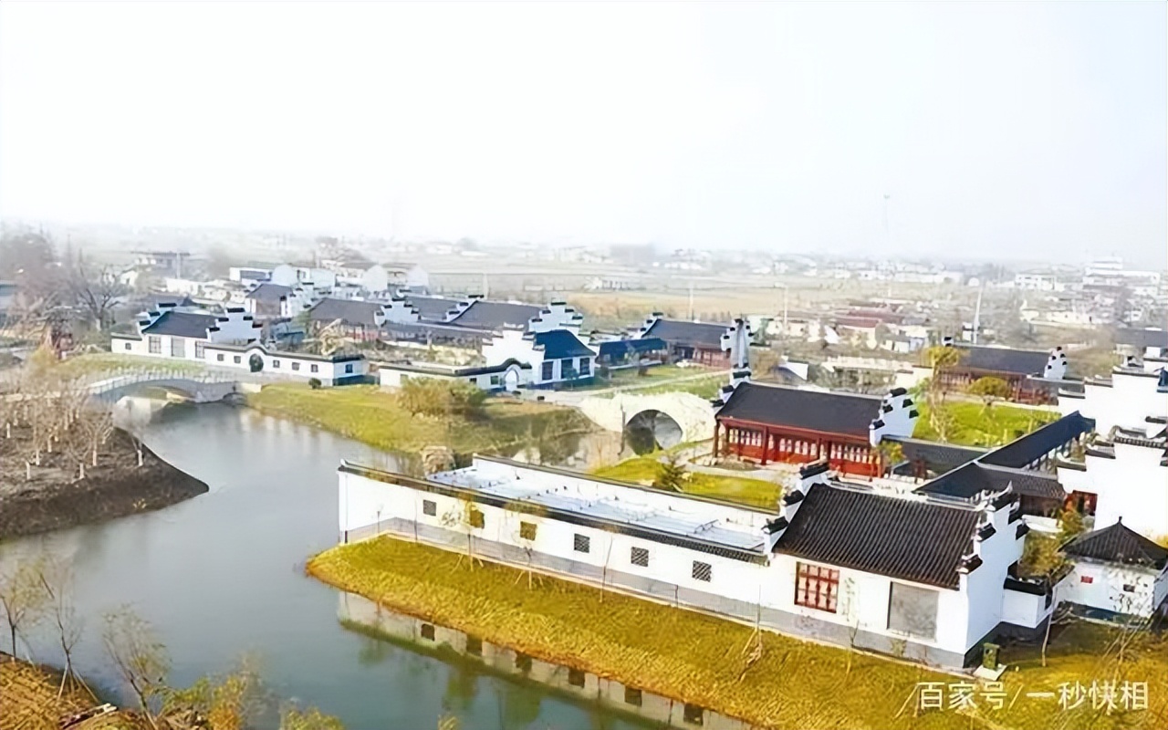 五一回老家，土地被流转了，是谁在割农民的韭菜？