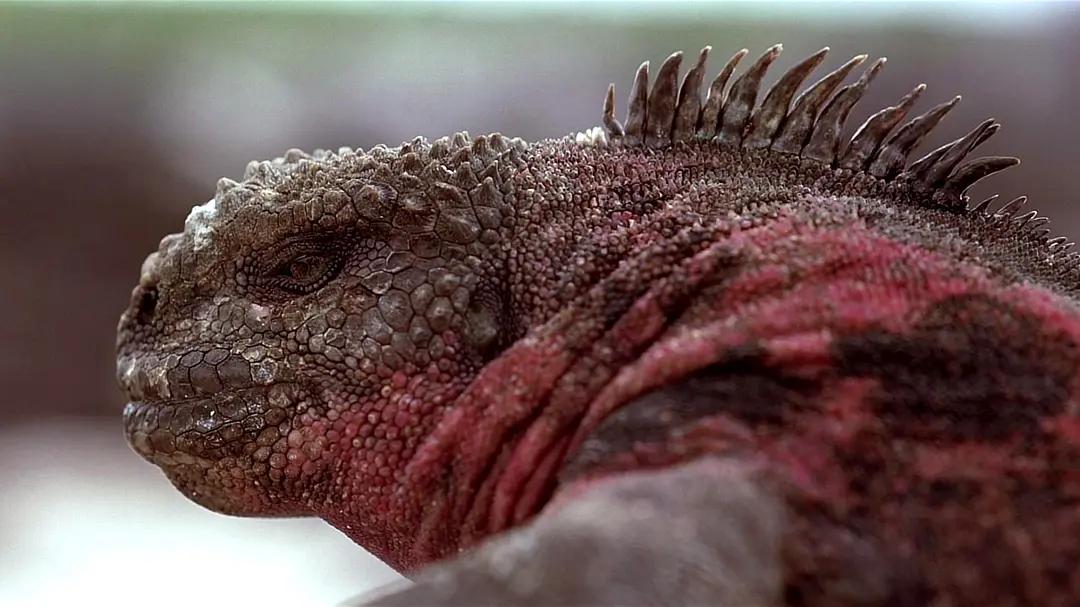 如果人类可以随意穿梭太空,如果人类进入外太空会怎么样