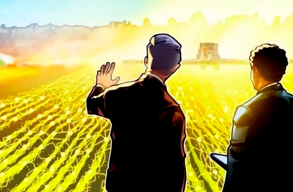 落地科技+服务,构建数字乡村新图景|农业行业观察专访新华三