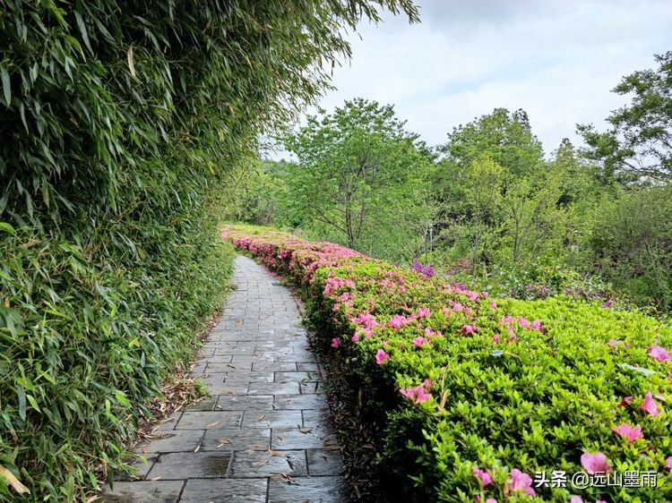 昆明世博园最值得看的有哪些景点,昆明世博园哪里看花最好看