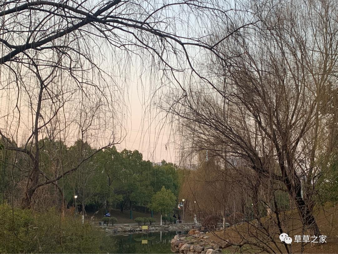 合肥一中有一个后花园，你进去玩过吗？早春里的一中后花园