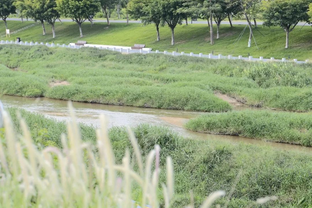 冬日露营围炉煮茶的闲适和惬意,记一次秋天的围炉煮茶露营