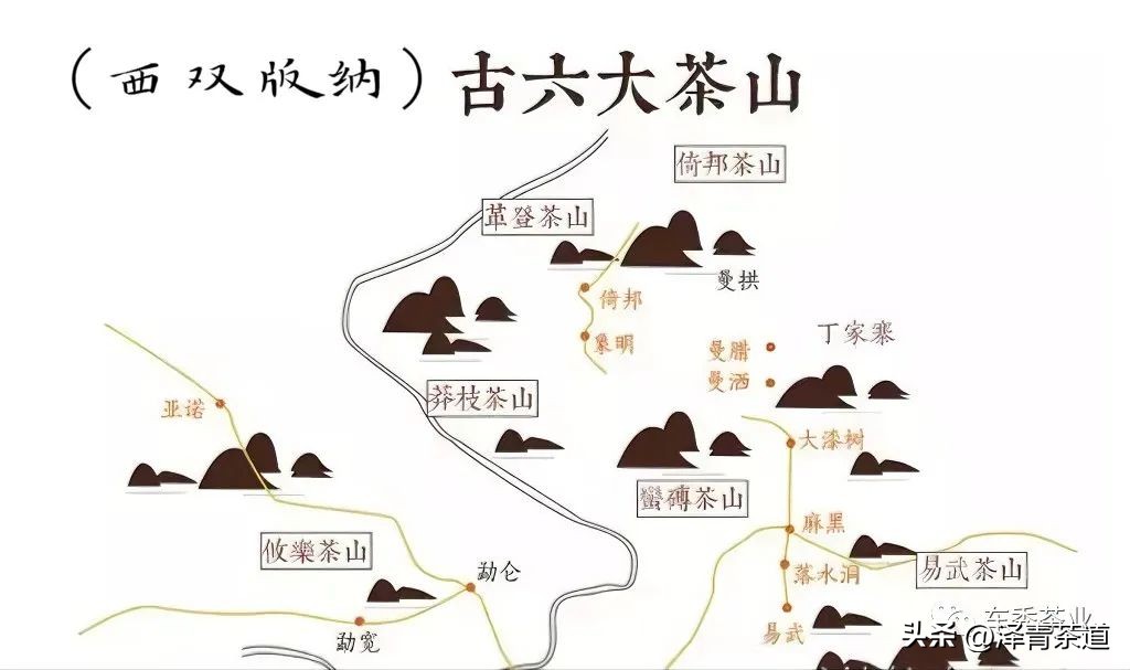 易武六大茶山茶的特点,易武茶的特点