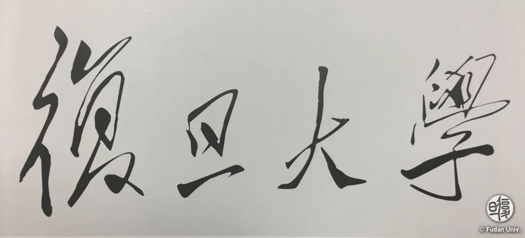 复旦大学117周年,走进复旦大学的经历