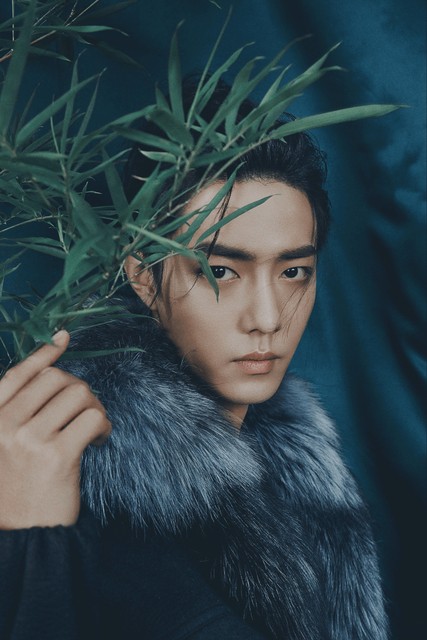 tfboys6周年演唱会,tfboys十周年演唱会回看