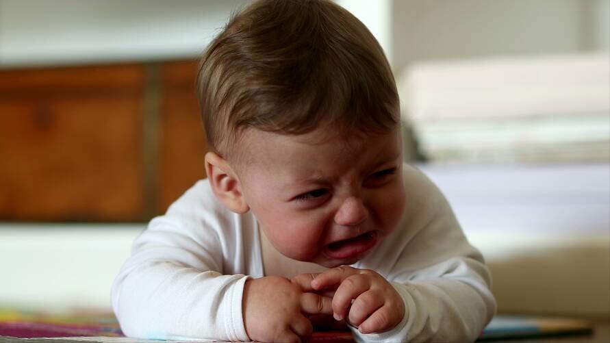 三鹿奶粉事件教训深刻论文,三鹿奶粉事件后续怎么解决