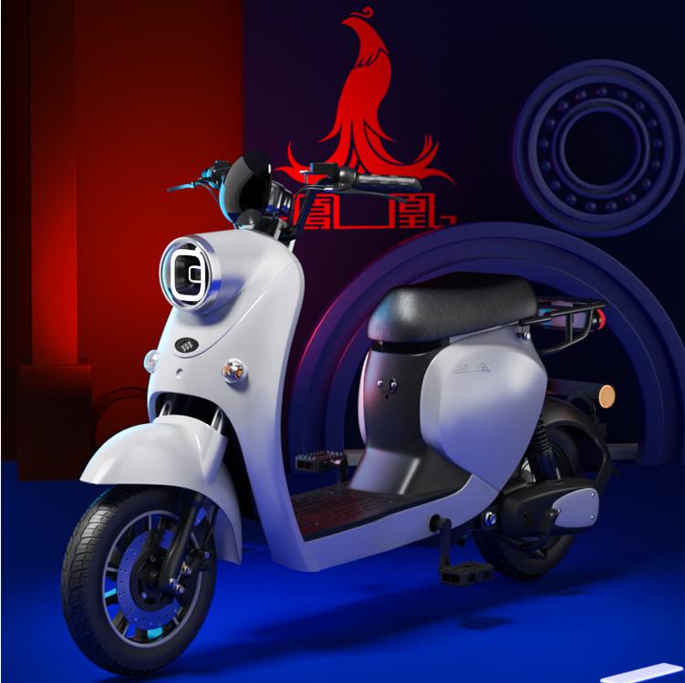 续航300公里的电动车大概多少钱,电动车推荐2000元3000元续航长