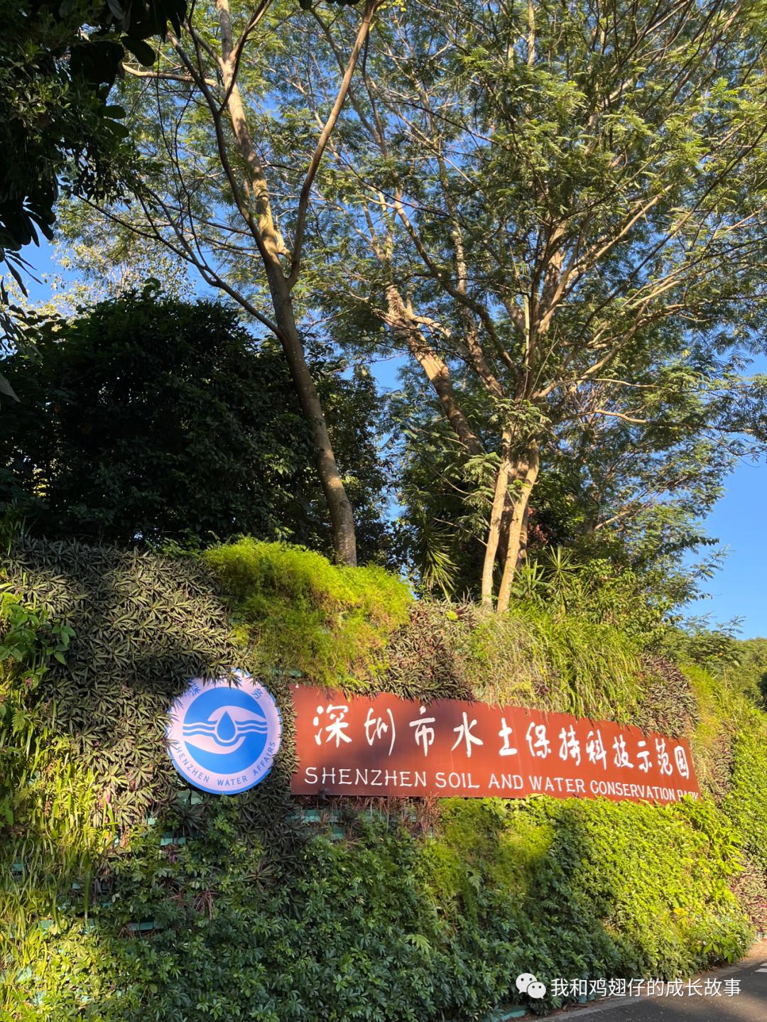 爱美丽深度解读,爱美丽150集免费观看