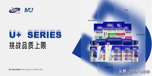 刚出生的小猫没有羊奶粉要喂什么,刚出生的小猫喂羊奶粉应该怎么喂