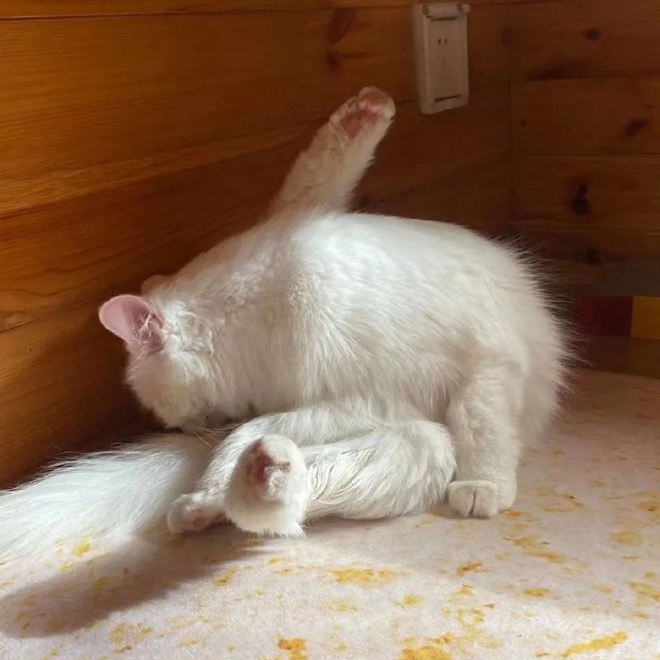 赵明明：上班摸鱼，是我的梦想!