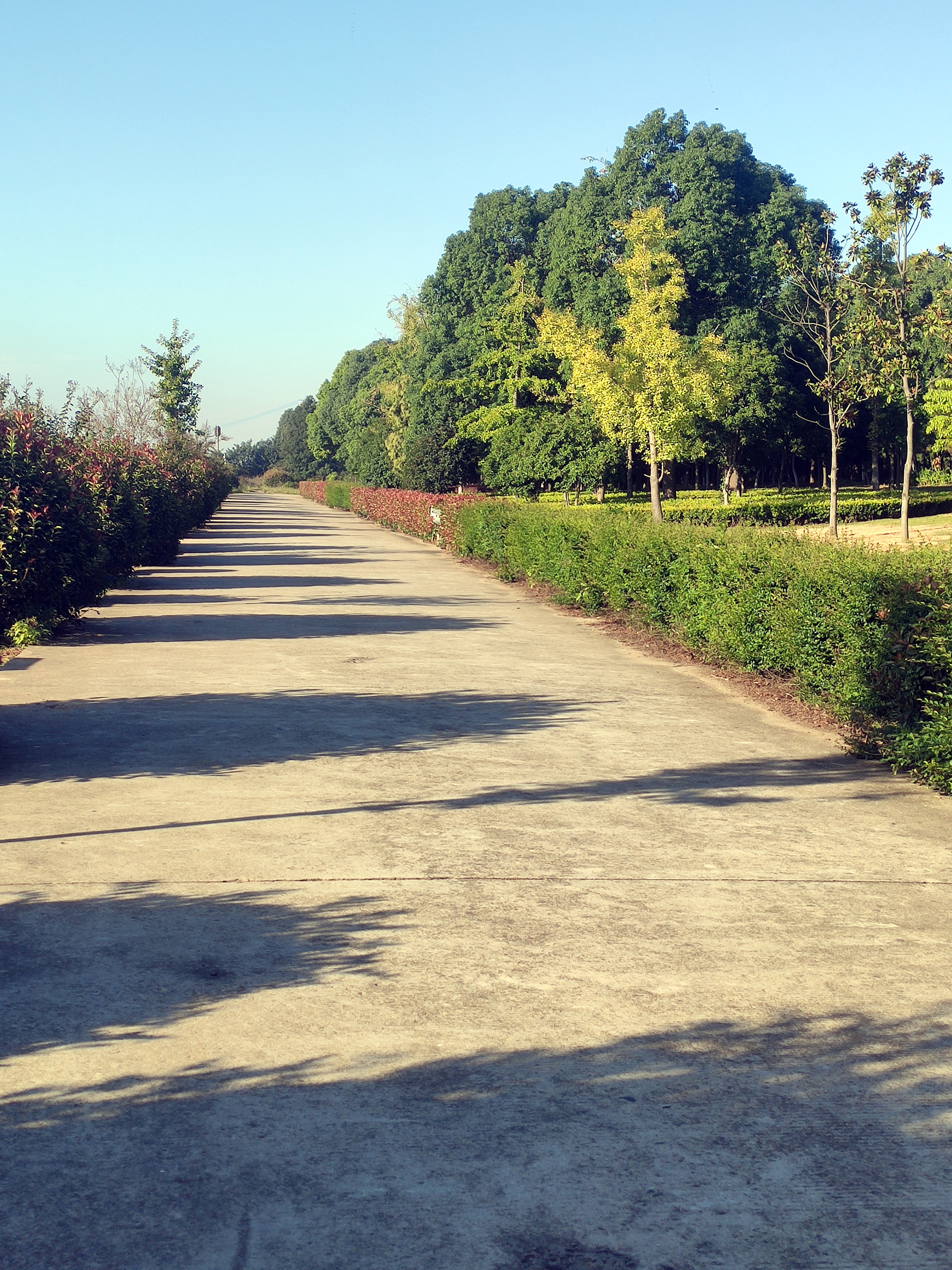 靖江周围有哪些特色旅游景点,不输5a的景区