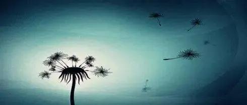 觉醒的秘诀有哪些,觉醒的基本原理