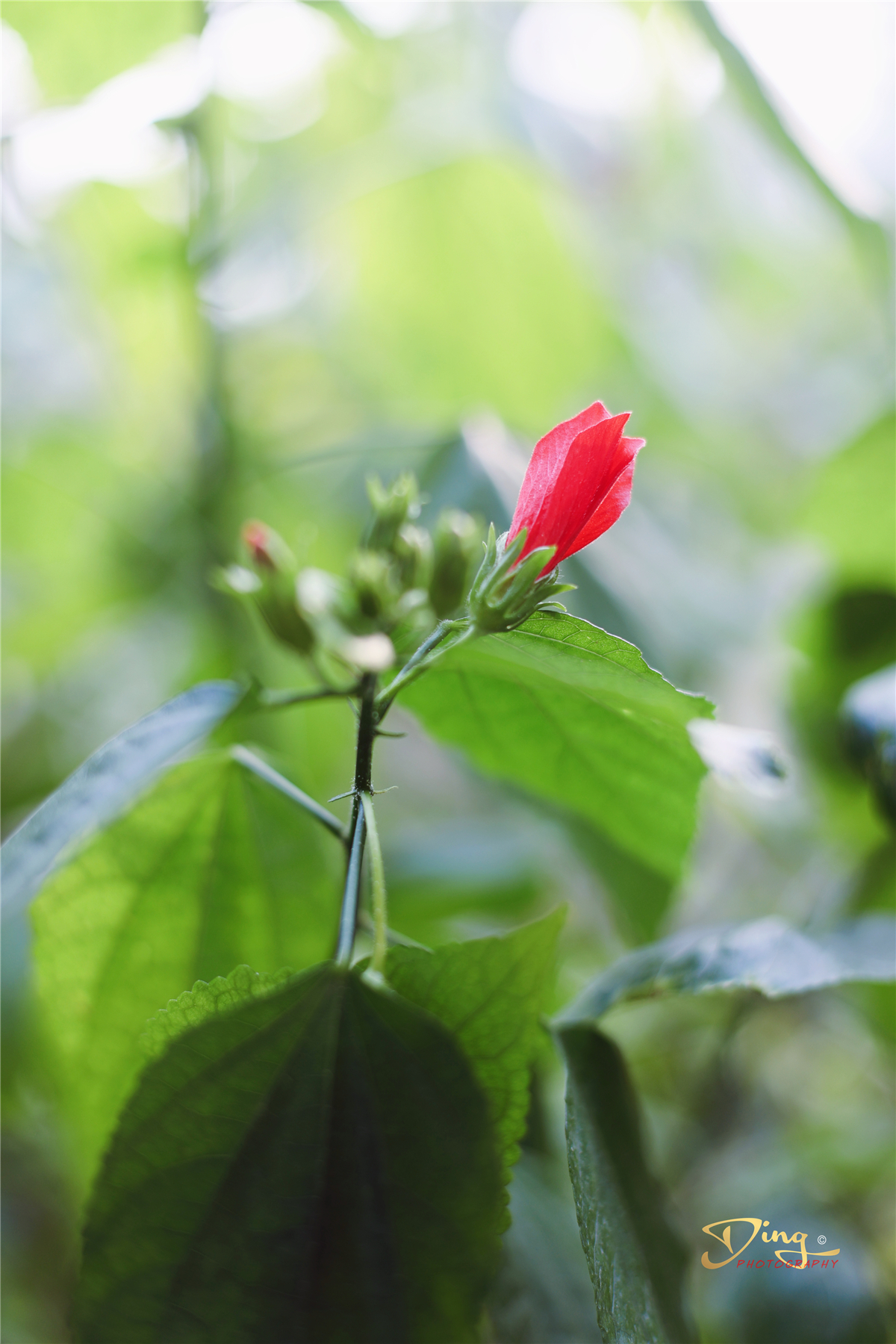 苏州东太湖游玩攻略,春节东太湖旅游攻略