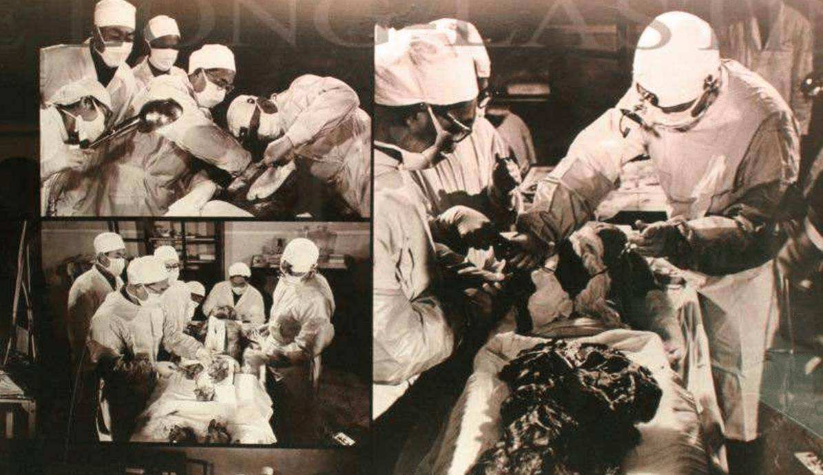 尸毒的危害解谜,辛追女尸为什么那么恐怖