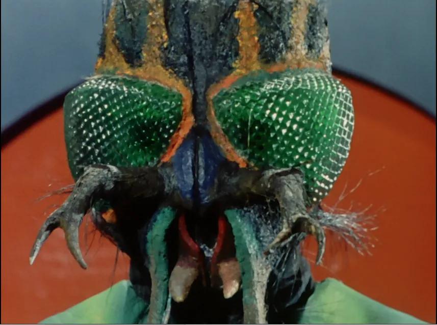 初代假面里所有的怪人,假面骑士怪人形态盘点