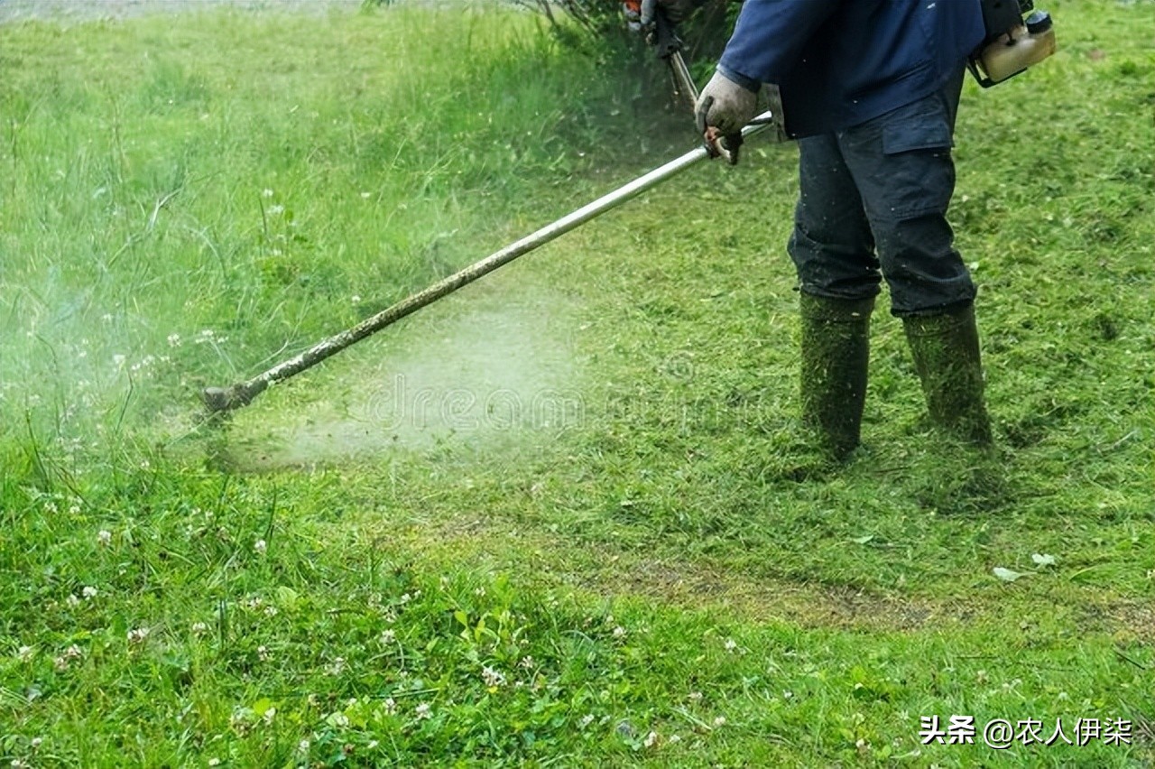 背负式割草机使用方法图解教程,背负式割草机如何割的高度整齐