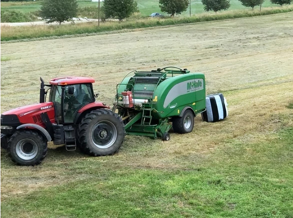 涓浗缇庡コ鍐滃満,涓浗濂冲啘鍦轰富