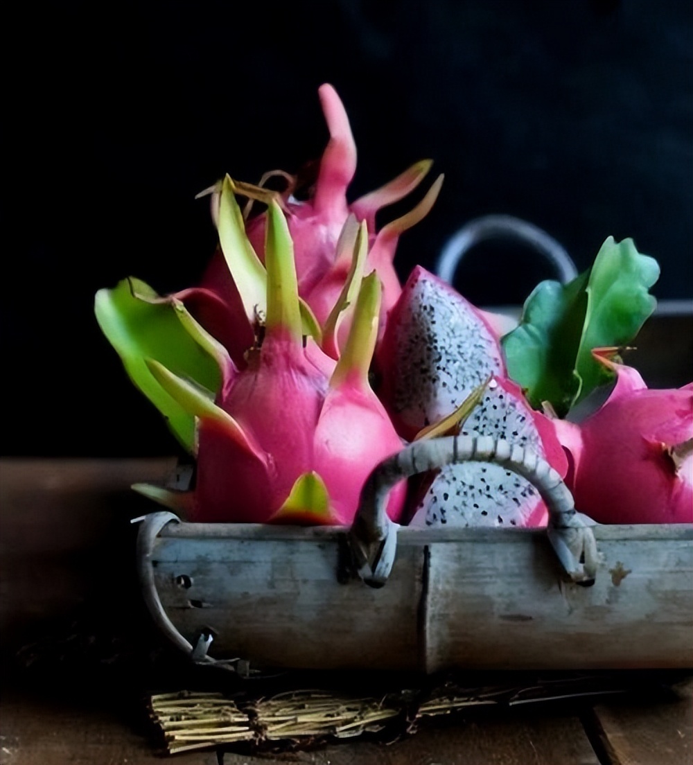 火龙果插枝越长越好吗,火龙果是幼枝插好还是老枝好