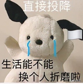 宋智雅回应假货风波,宋智雅的假货风波怎么发现的