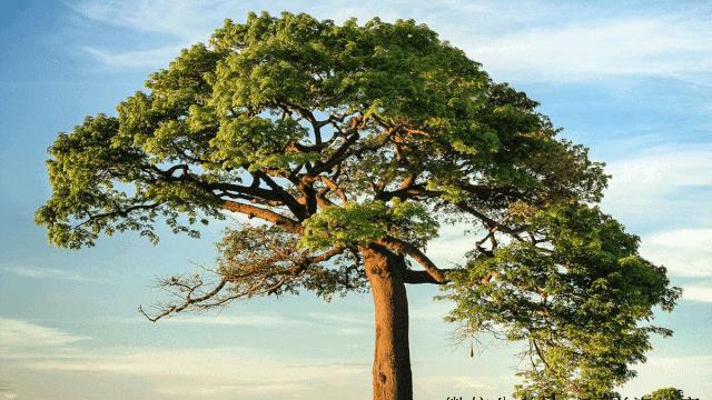 ps钢笔抠图抠不干净,抠图不清晰怎么用ps处理