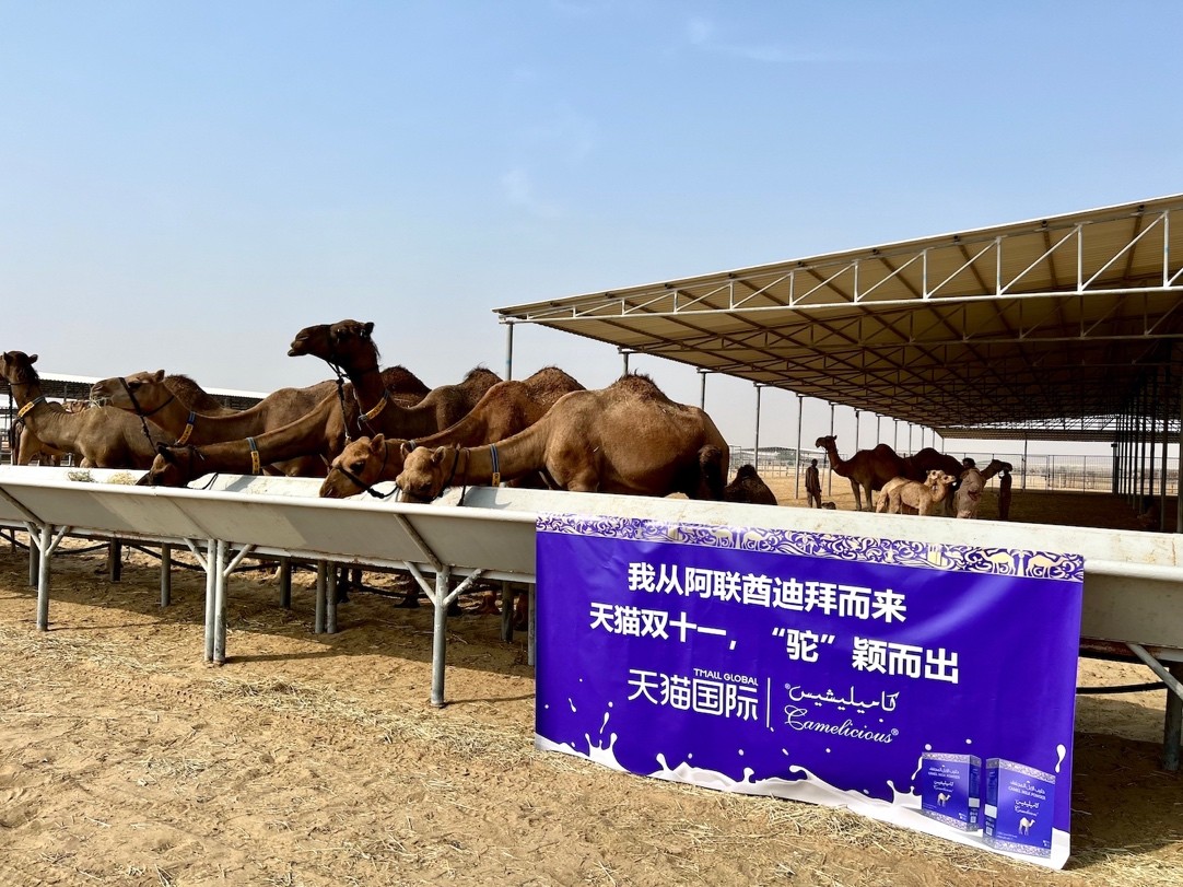 天猫双11狂欢夜2019外媒报道,天猫双11各国新闻联播