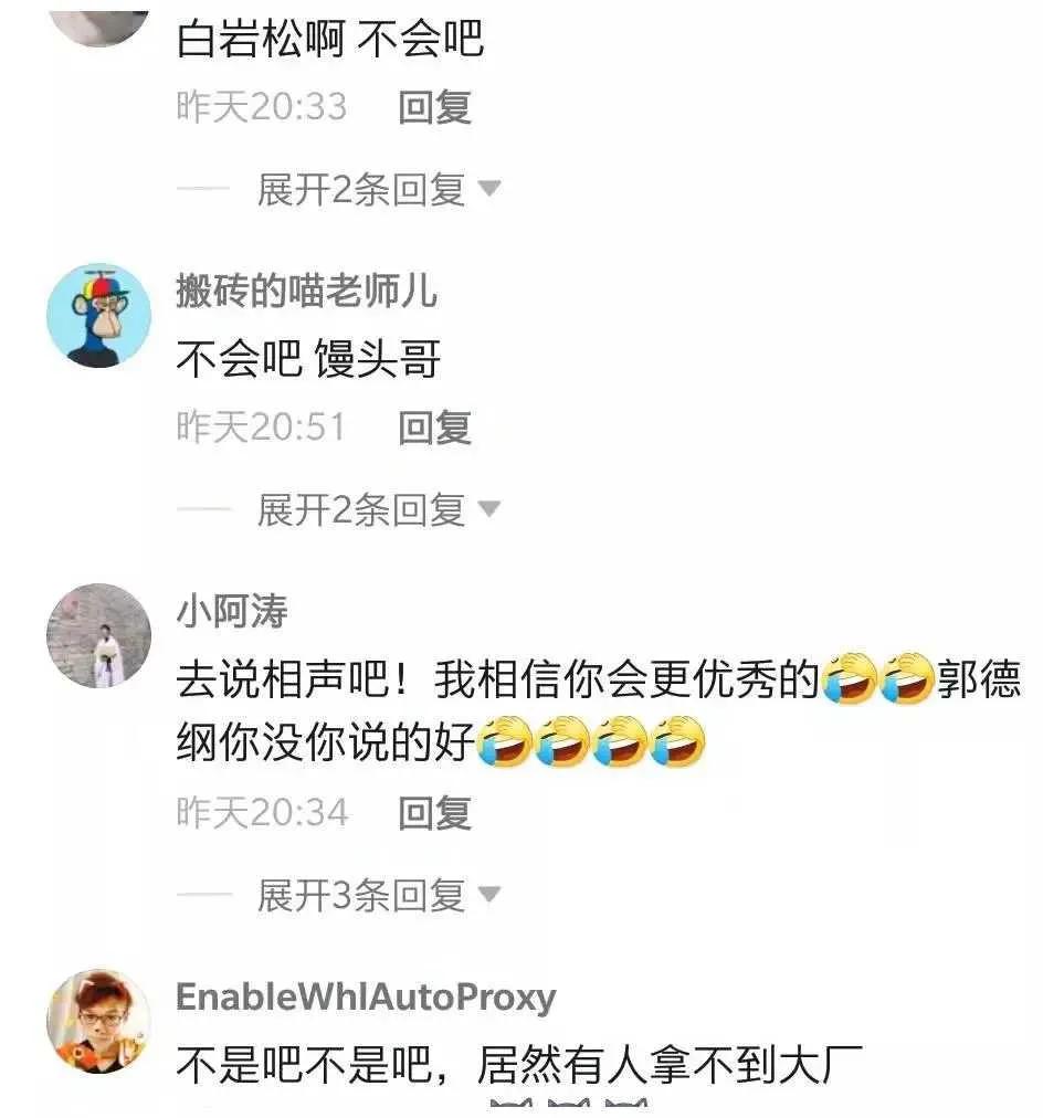 白岩松回应不会吧,白岩松正面回应“不会吧”事件